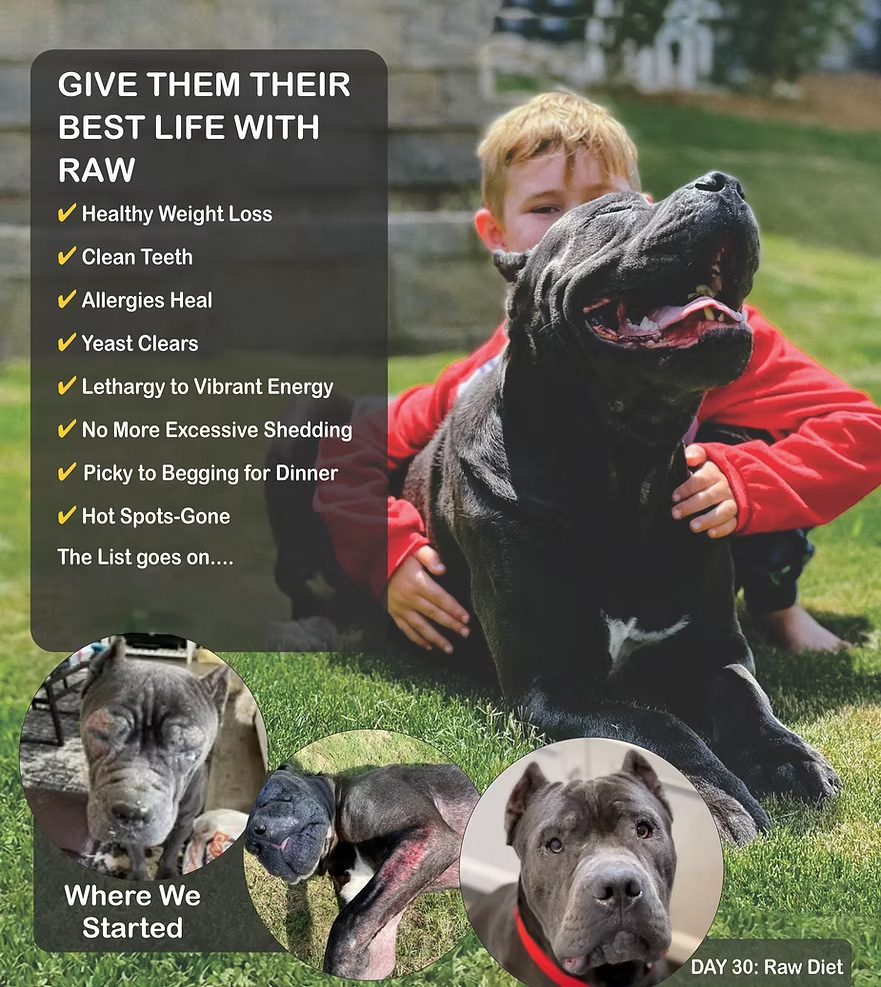 Give Them Their Best Life