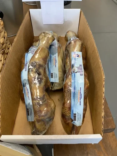Pet-Supply-Store-Wilmington-NC-3-17-26-004