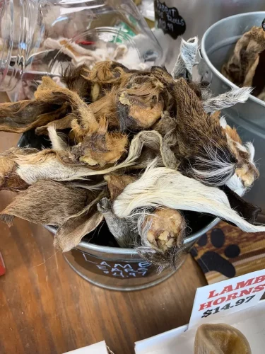 Pet-Supply-Store-Wilmington-NC-3-17-26-006