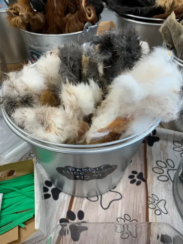 Pet-Supply-Store-Wilmington-NC-3-17-26-007