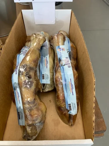 Pet-Supply-Store-Wilmington-NC-4-7-26-0015