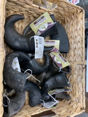 Pet-Supply-Store-Wilmington-NC-4-7-26-0016