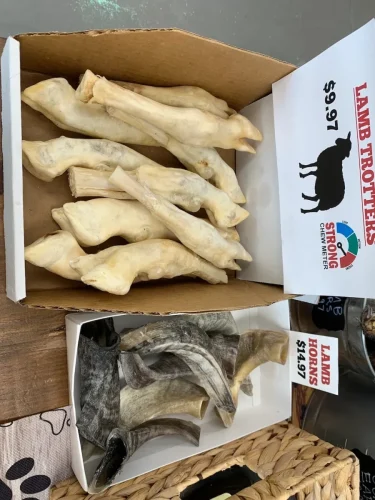 Pet-Supply-Store-Wilmington-NC-4-7-26-0018