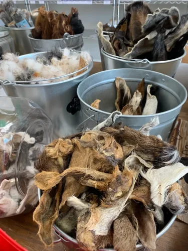 Pet-Supply-Store-Wilmington-NC-4-7-26-0019