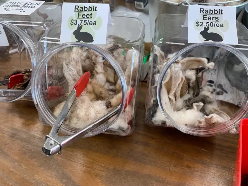 Pet-Supply-Store-Wilmington-NC-4-7-26-0020