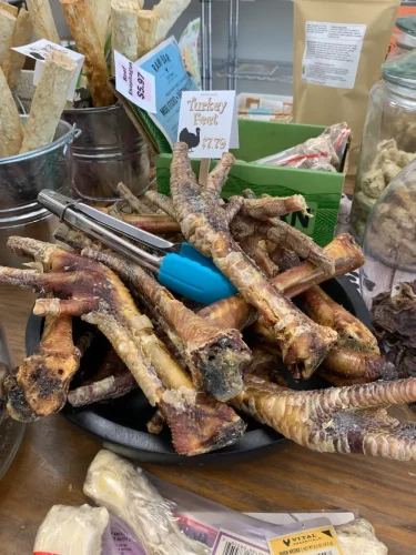 Pet-Supply-Store-Wilmington-NC-4-7-26-0021