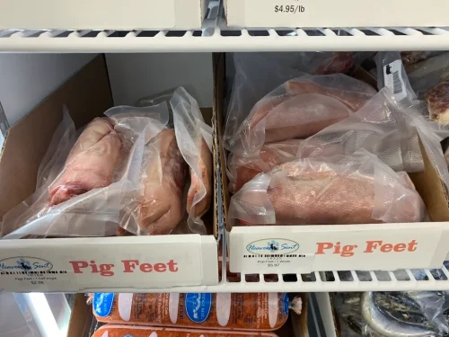 Pet-Supply-Store-Wilmington-NC-4-7-26-0035