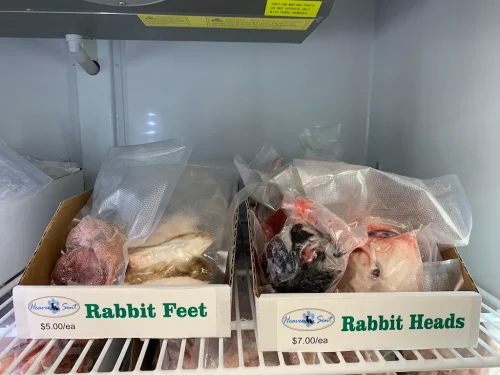 Pet-Supply-Store-Wilmington-NC-4-7-26-0037