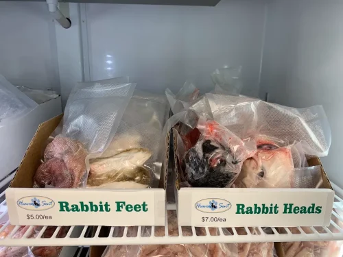Pet-Supply-Store-Wilmington-NC-4-7-26-0038