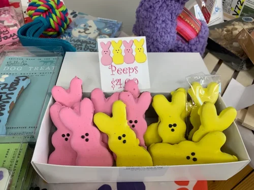 Pet-Supply-Store-Wilmington-NC-4-7-26-0045
