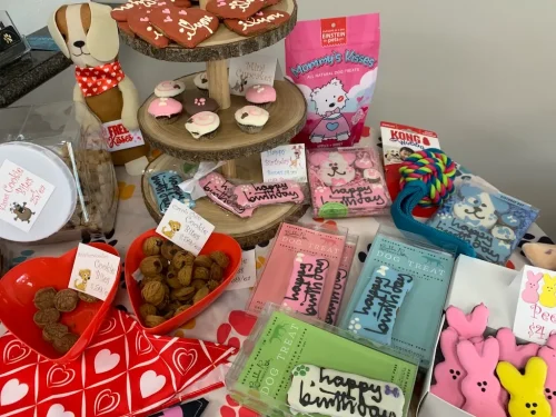 Pet-Supply-Store-Wilmington-NC-4-7-26-0046