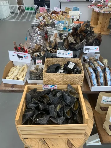 Pet-Supply-Store-Wilmington-NC-5-23-26-005