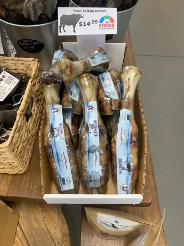 Pet-Supply-Store-Wilmington-NC-5-23-26-006