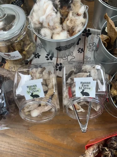 Pet-Supply-Store-Wilmington-NC-5-23-26-007